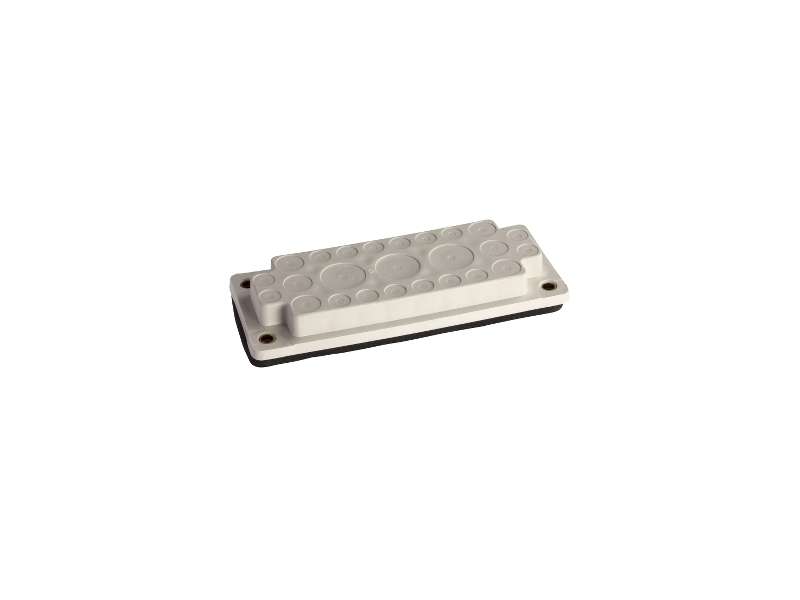 Schneider Electric Membrane za uvod kablova FL21 sa 33 otvora 9x18mm + 24x14mm.;NSYAECPFLA33