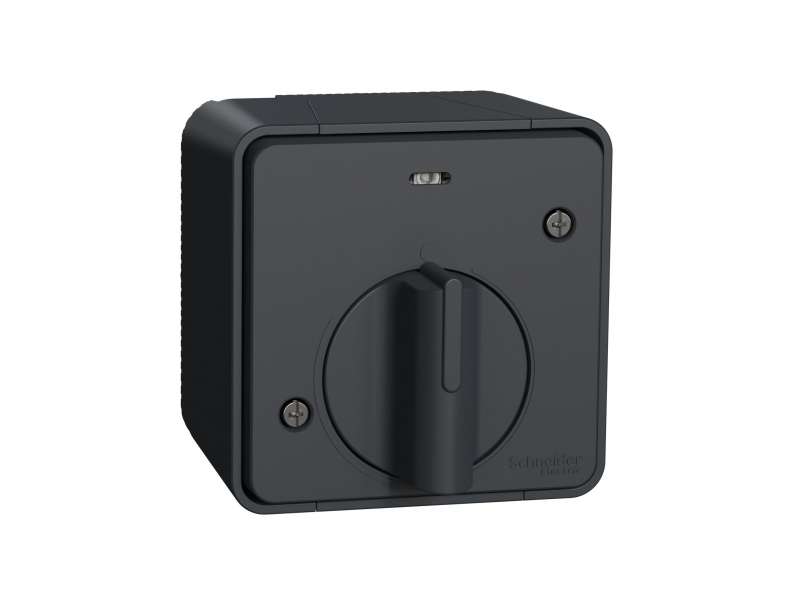 Schneider Electric Mureva Styl - mehanički vremenski prekidač - nadgradni - sivi;MUR35067