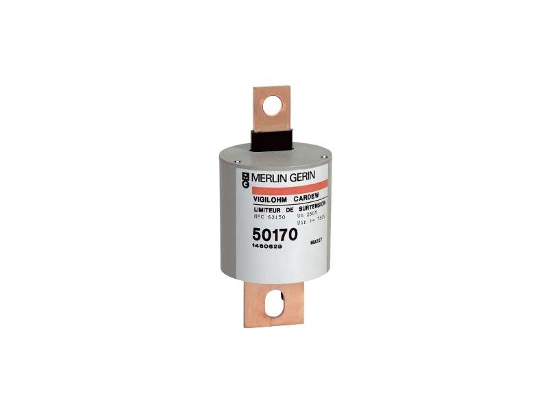 Schneider Electric Rezervna patrona Cardew - tip C - 1000 V;50183