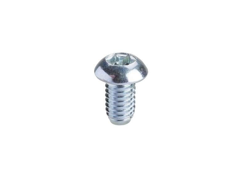 Schneider Electric Torx zavrtanj T30 (M6x10). Količina: 50 kom.;NSYSPM6